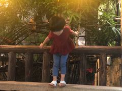 -园林美食城·本土农家菜(杨和镇店)