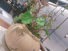 -新辣道鱼火锅(航天万源店)