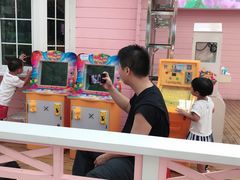 -百万葵园