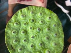 -洪湖生态旅游区