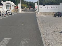 -红山国家森林公园