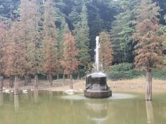 -广州市帽峰山景区
