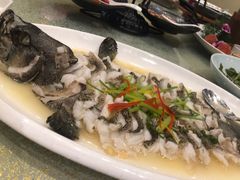 -鹏湾.壹号