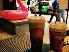 -Flamingo Bloom(TST /尖沙咀店)