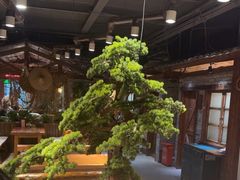 -丹江渔村(首都机场店)