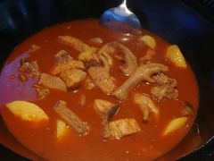 -挂雪铁锅炖大鹅