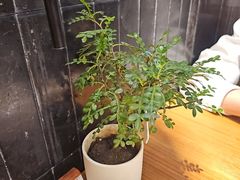 -CURRY YA 熟成咖哩專門店(深圳湾万象城店)