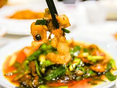 -院8里·少城记忆老川菜(宽窄巷子店)