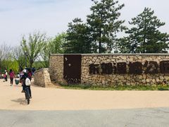 -东郊湿地公园