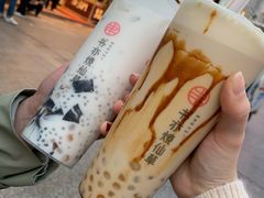 椰椰烧仙草（大杯）-书亦烧仙草(印象汇都市店)