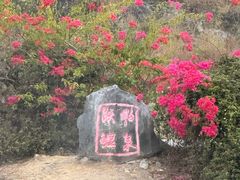 -靖西鹅泉风景区