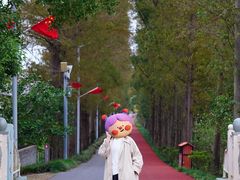 -上海长兴岛郊野公园