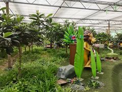 -南宫五洲植物乐园