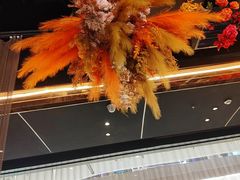 -宇安泰料(龙湖天街黑金店)