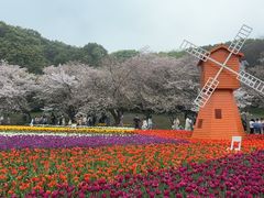 -苏州上方山国家森林公园