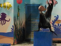 -太平洋海底世界