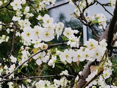 -白塘生态植物园