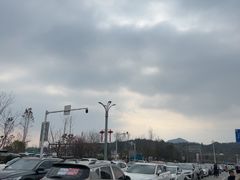 -庐山风景名胜区-东林大佛