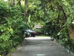 -Kinnaree by Vanessa WU