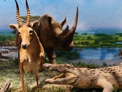 -国家自然博物馆