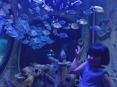 -成都浩海立方海洋公园