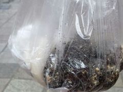 android_upload_pic-叶氏麻糍(鼓浪屿店)