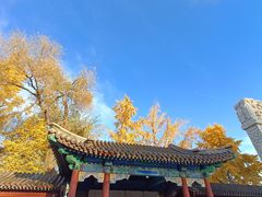 -北京石刻艺术博物馆(五塔寺)
