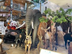 点击看大图 -卡通尼·Safari非洲探索乐园·生日会(金桥国际商业广场店)