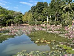 -中国科学院西双版纳热带植物园