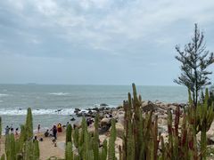 -广东惠东海龟国家级自然保护区