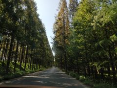 -上海海事大学(临港校区)