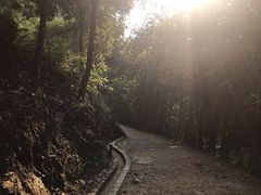 -羚羊峡古栈道森林公园
