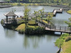 -王借岗森林公园