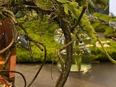 -大视光学•LINDBERG林德伯格•全球手工眼镜集合店(王府井店)