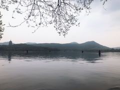 -西湖外事游船(花港观鱼码头)