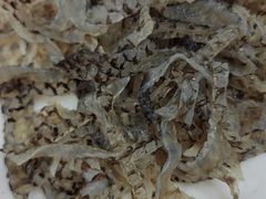 -北京新世纪饭店(动物园地铁站店)