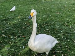 -安立路(地铁站)