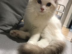 -听TA说宠咖·宠物生活馆(天韵水岸店)