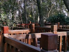 -上海佘山国家森林公园天马山园