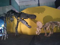 -湖南省地质博物馆