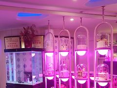 -巴特餐饮6加1音乐餐吧·新疆菜