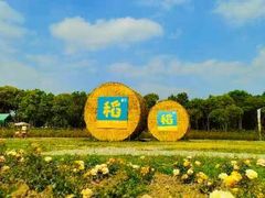 -嘉北郊野公园