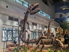 -自贡恐龙博物馆