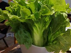 -牛缘村·贵州黄牛肉火锅(西善桥店)