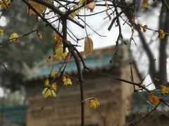 -西安化觉巷清真大寺