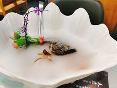 -名善山珍·野生菌汤锅(文殊院店)