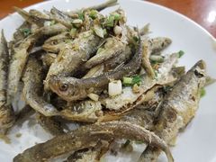 -全乐鱼馆·淳牌有机鱼直营店