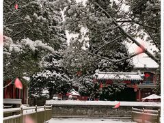 -颐和园