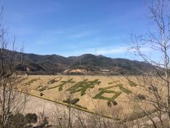-东海大峡谷