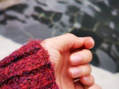 -海兰云天度假区温泉